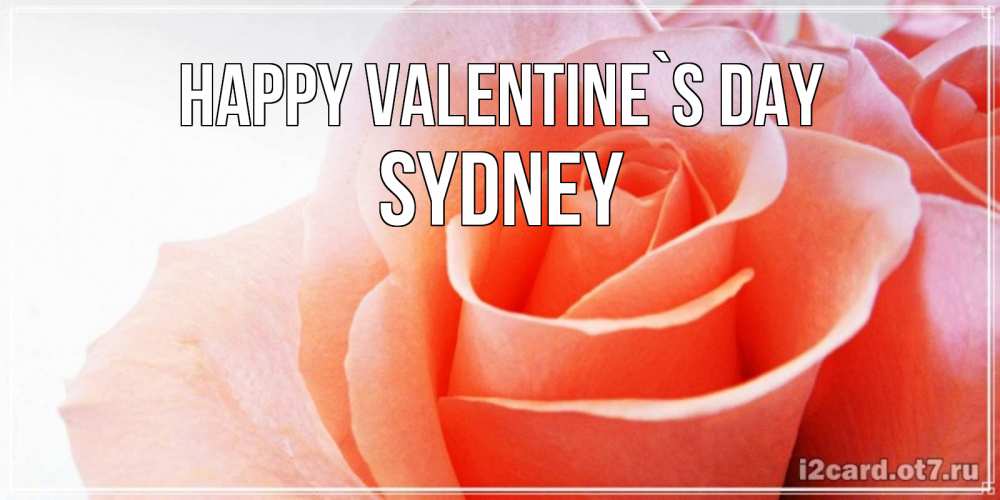 Greetings card с именем, Sydney Happy Valentine`s Day открытка на день Святого Валентина с розовой розой Greetings with text for free download 